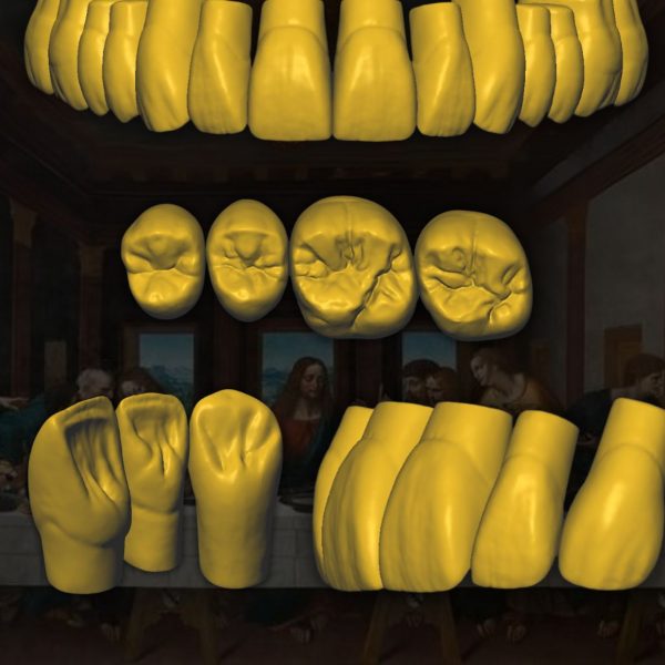 Diseño CAD Leonardo da Vinci - Vista lateral de estructura dental digital.