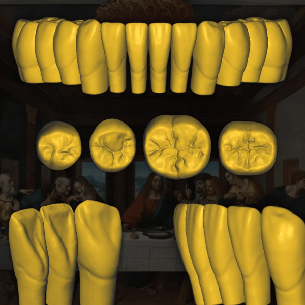 Archivo STL Old Leonardo da Vinci - Estructura dental con superficie texturizada.