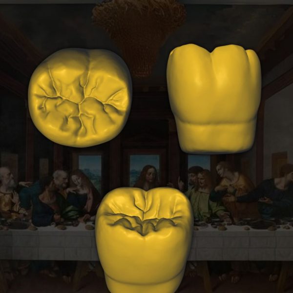 Biblioteca 3D de Dientes molares - Prótesis Digitales para Odontología
