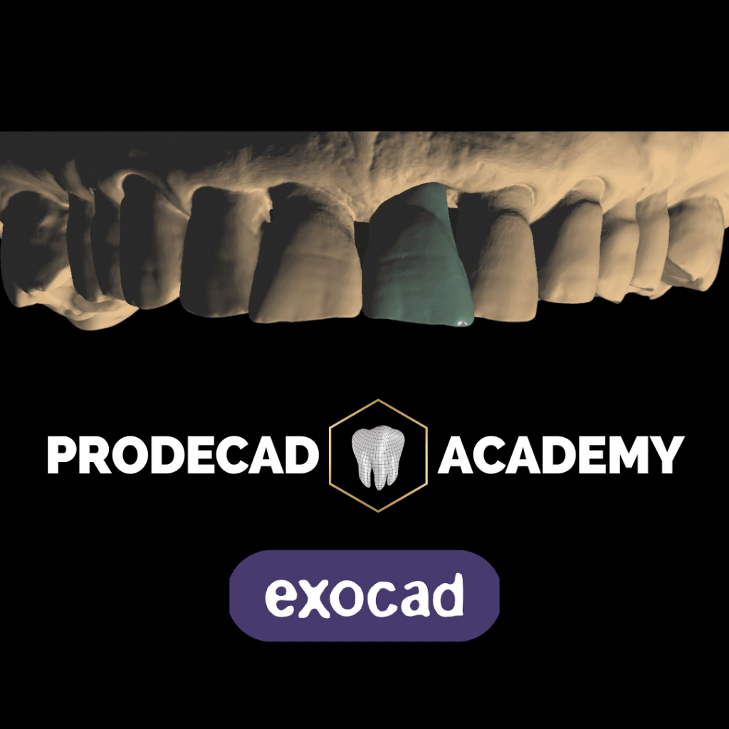 Logotipo Prodecad Academy Blanco 2